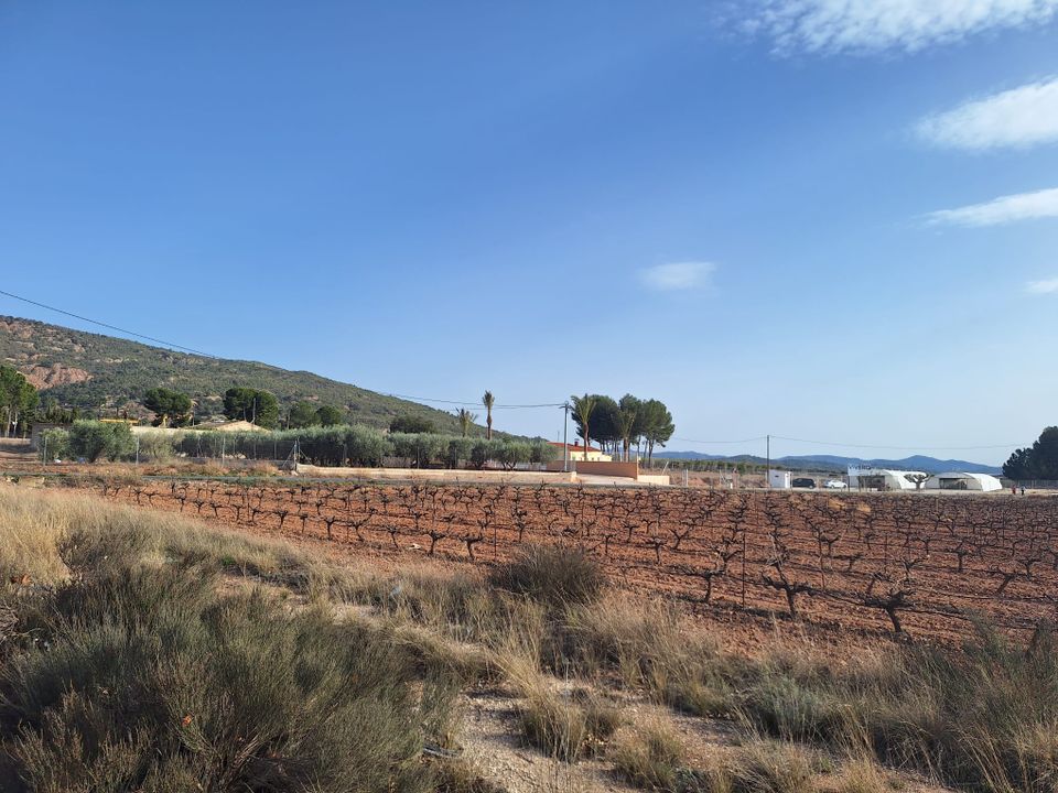 Helårsgrund i Pinoso, Alicante - foto 5