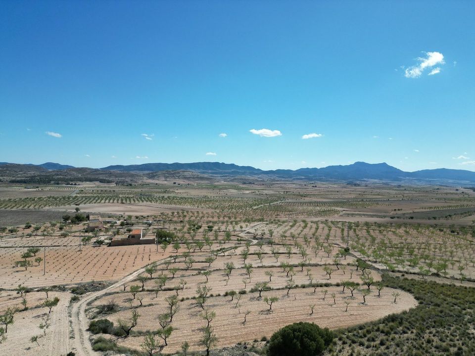Helårsgrund i Jumilla, Murcia - foto 1