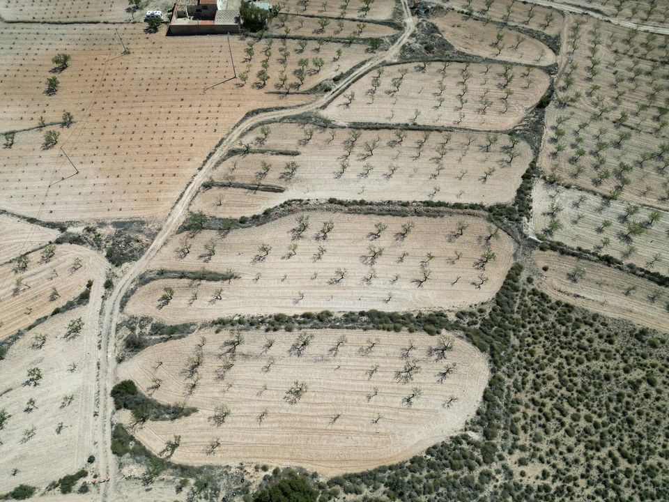 Helårsgrund i Jumilla, Murcia - foto 2