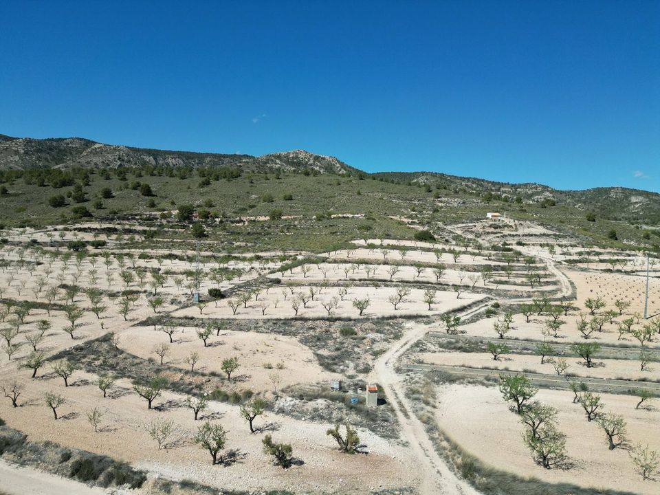 Helårsgrund i Jumilla, Murcia - foto 4