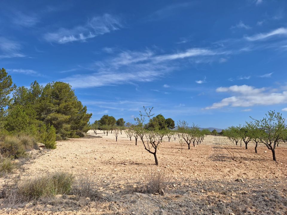 Helårsgrund i La Zarza, Murcia - foto 1