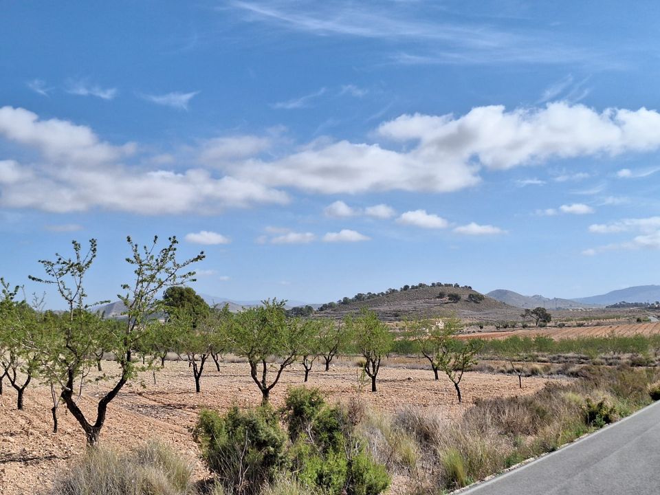 Helårsgrund i La Zarza, Murcia - foto 2