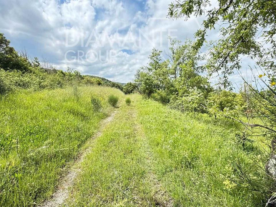 Farm i Allerona, Terni - foto 2