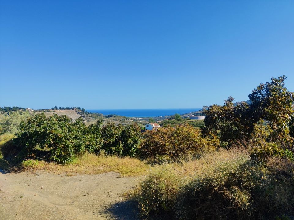 Tomt i Frigiliana, Malaga - bilde 3