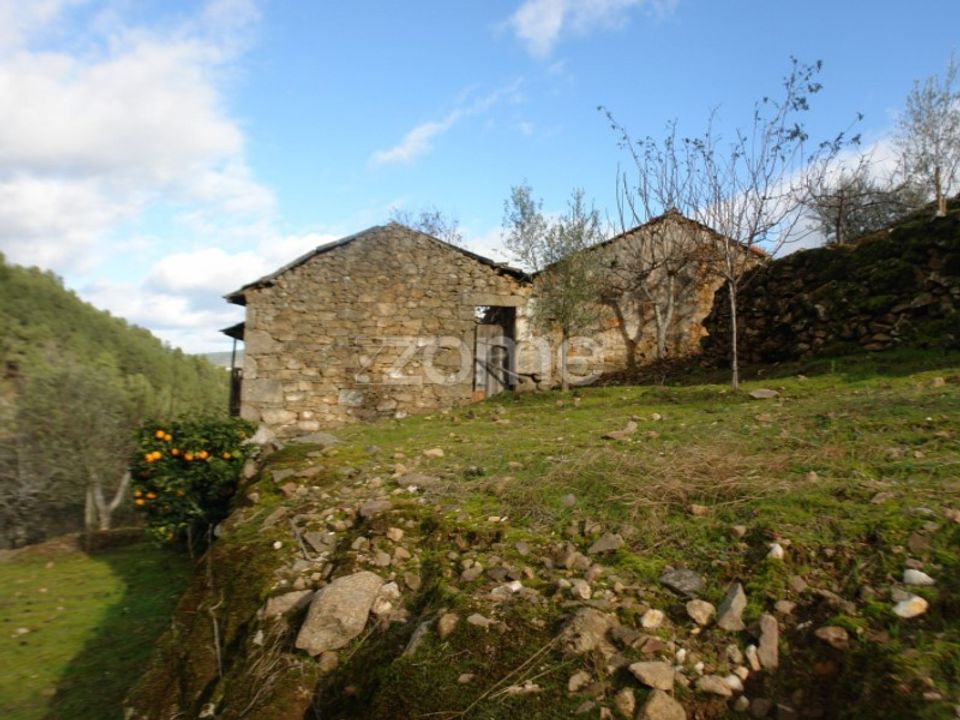 Granja a Sabrosa, Vila Real - foto 1