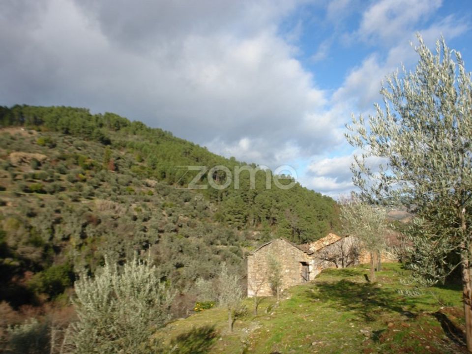 Granja a Sabrosa, Vila Real - foto 5