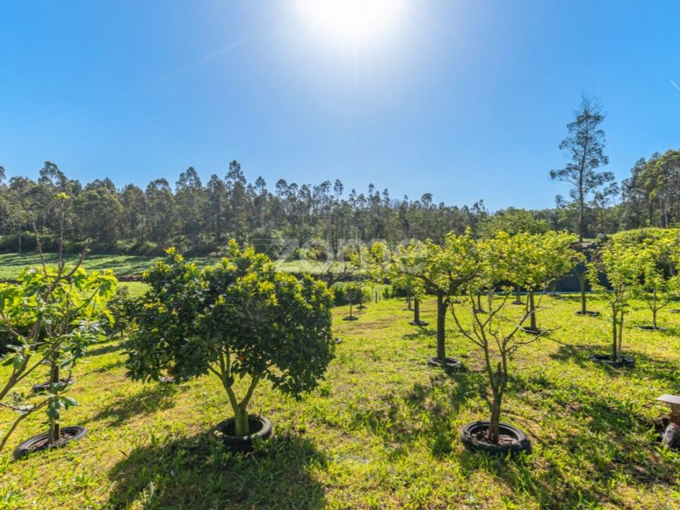 Villa i Vila do Conde, Porto - foto 4