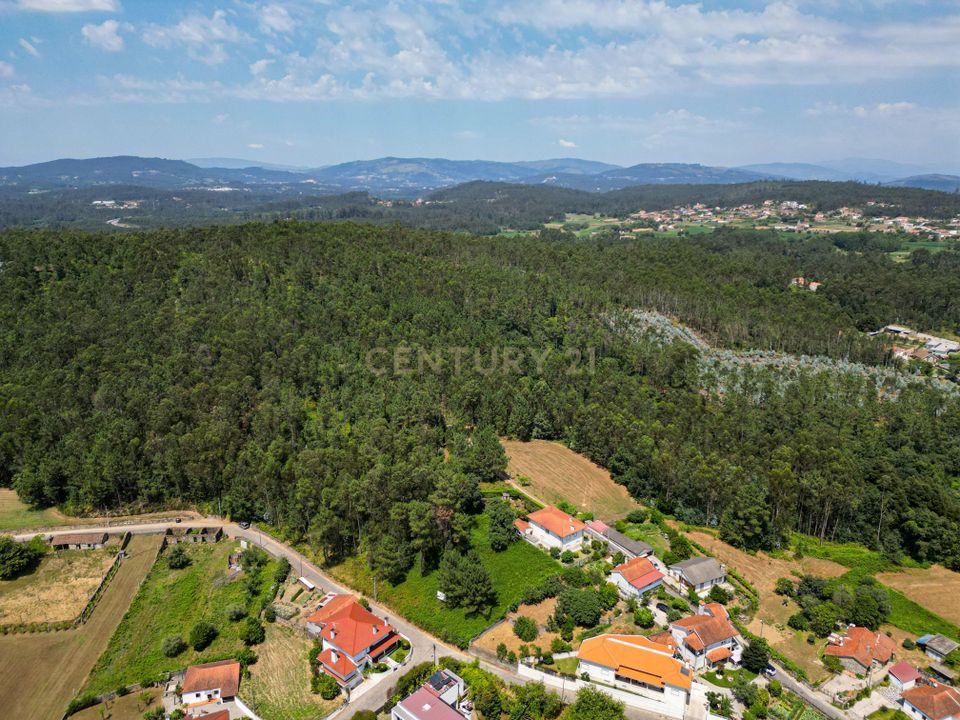 Helårsgrund i Barcelos, Braga - foto 5