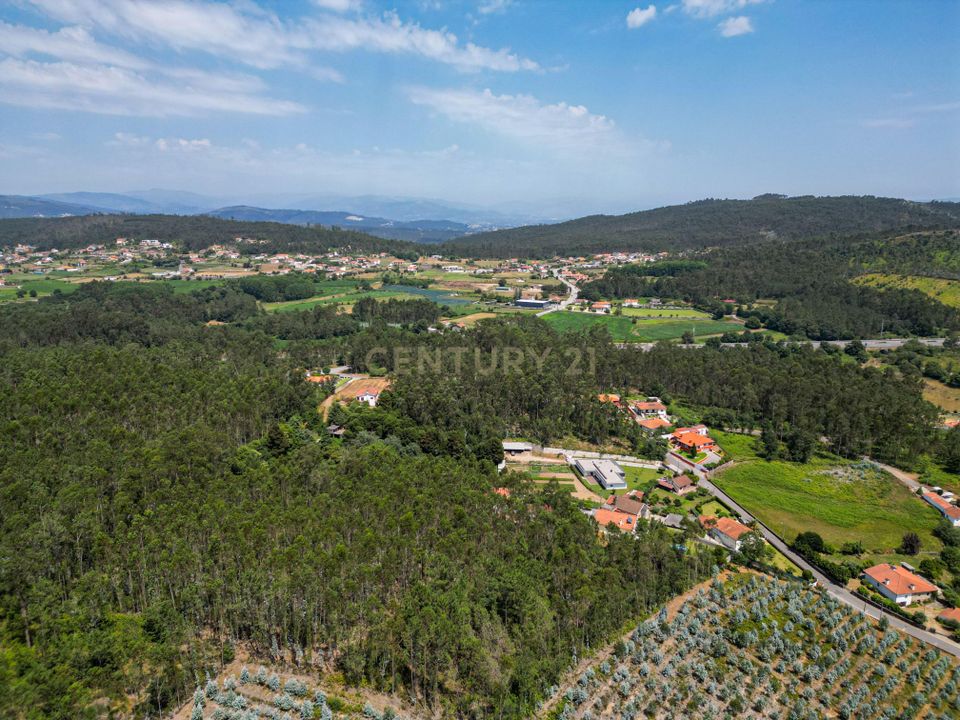 Helårsgrund i Barcelos, Braga - foto 2