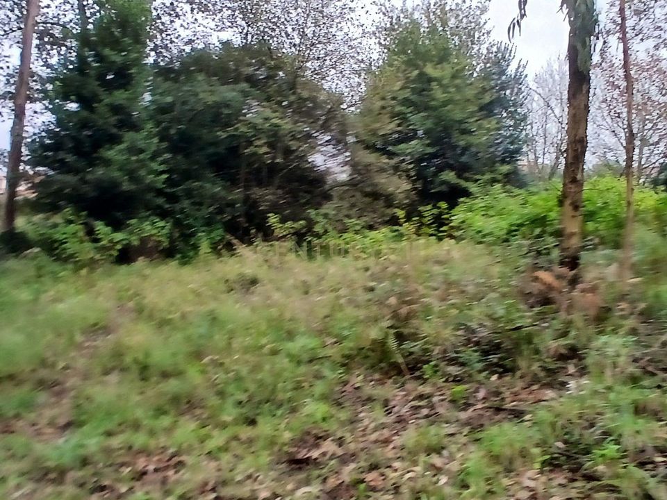 Helårsgrund i Barcelos, Braga - foto 4