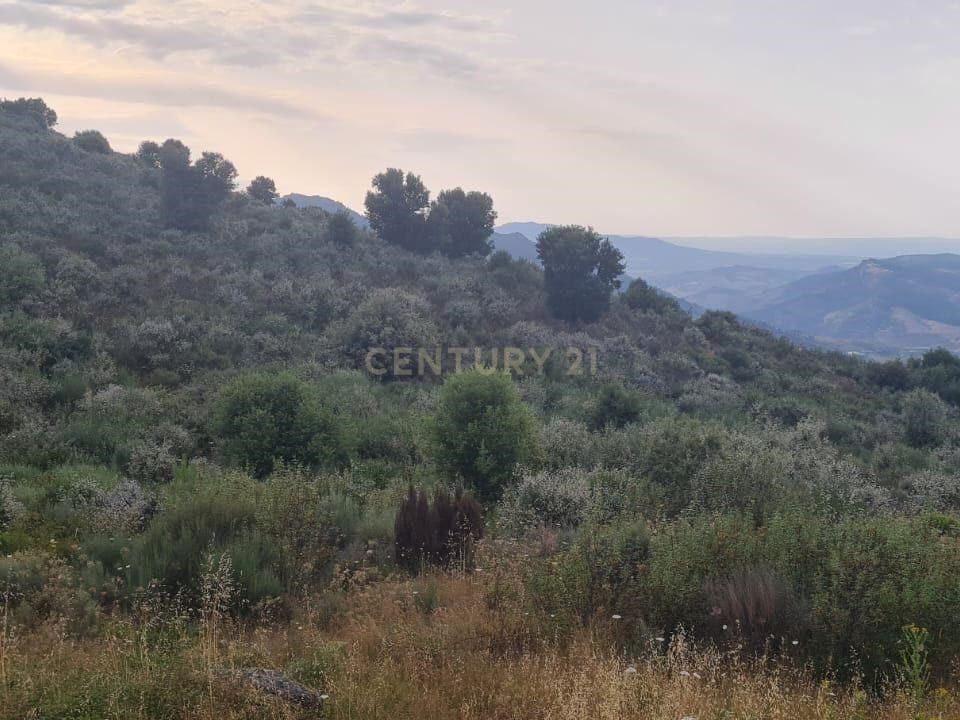 Helårsgrund i Vila Flor, Braganca - foto 1