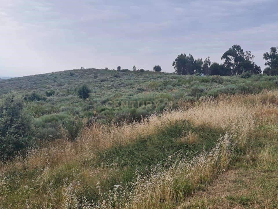 Helårsgrund i Vila Flor, Braganca - foto 2