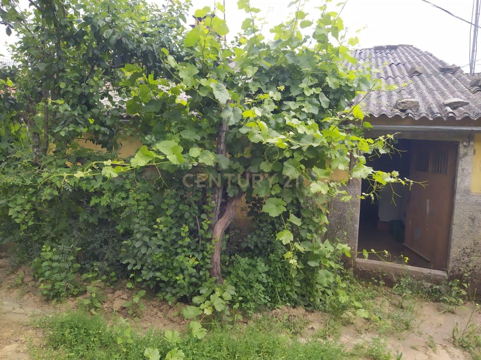 Villa i Braganca, Braganca - foto 3