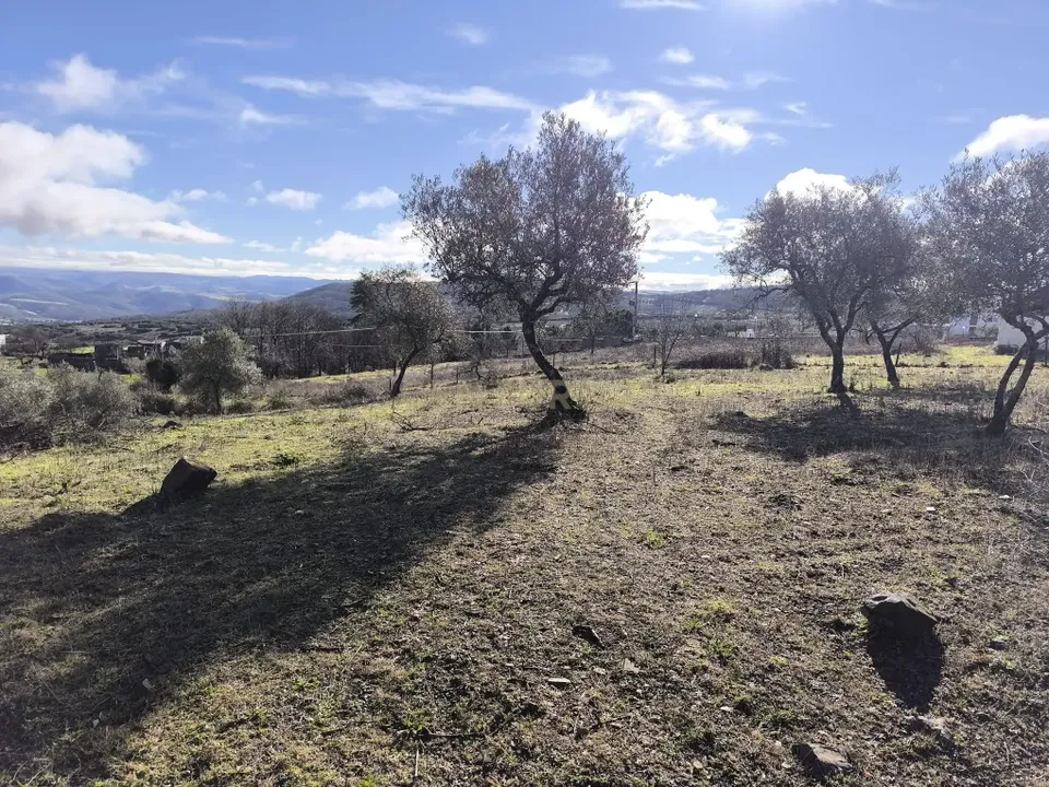 Helårsgrund i Braganca, Braganca - foto 2
