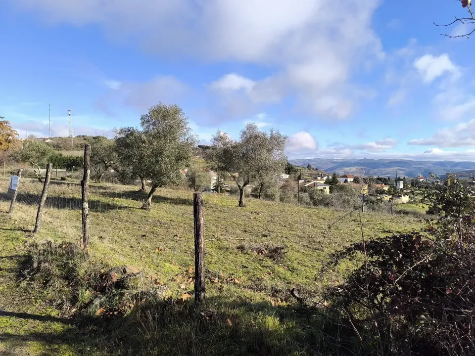 Helårsgrund i Braganca, Braganca - foto 4