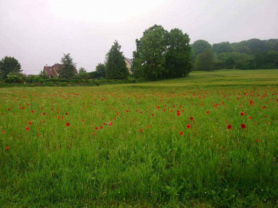 Helårsgrund i Barisis, Aisne - foto 2