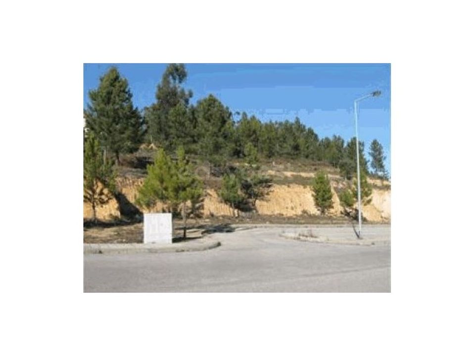 Terreno en Macao, Santarem - foto 1