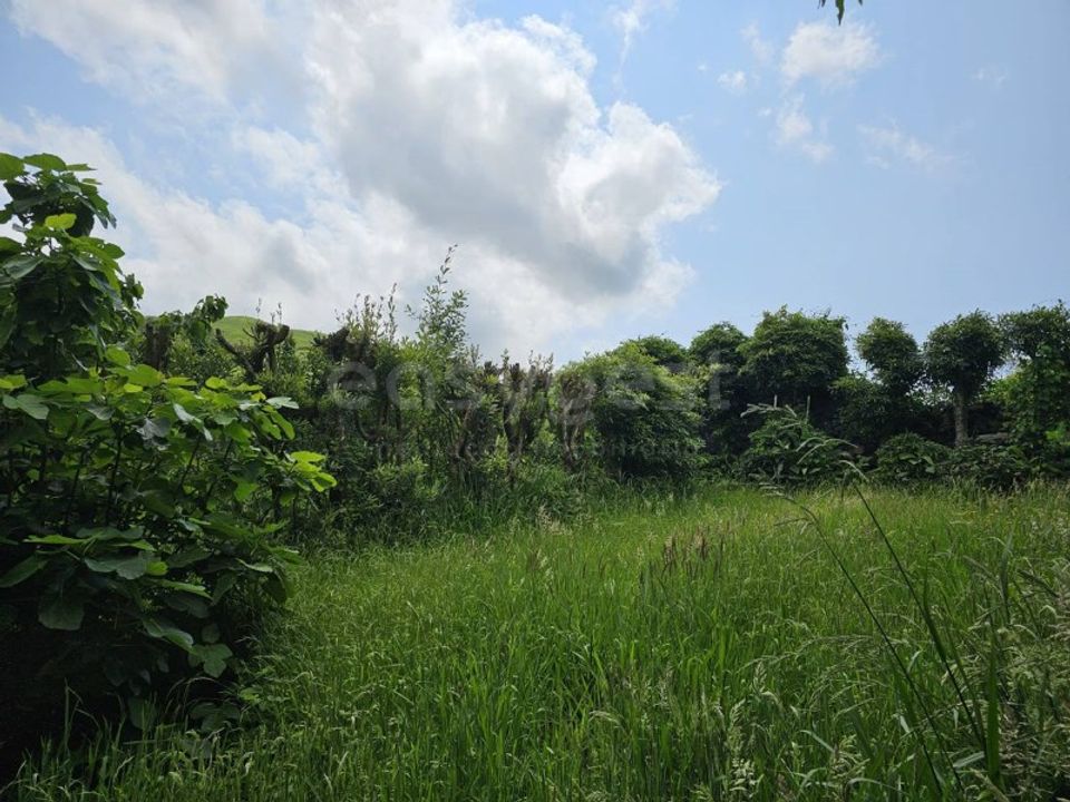 Terreno en Rabo de Peixe, Sao Miguel - foto 2
