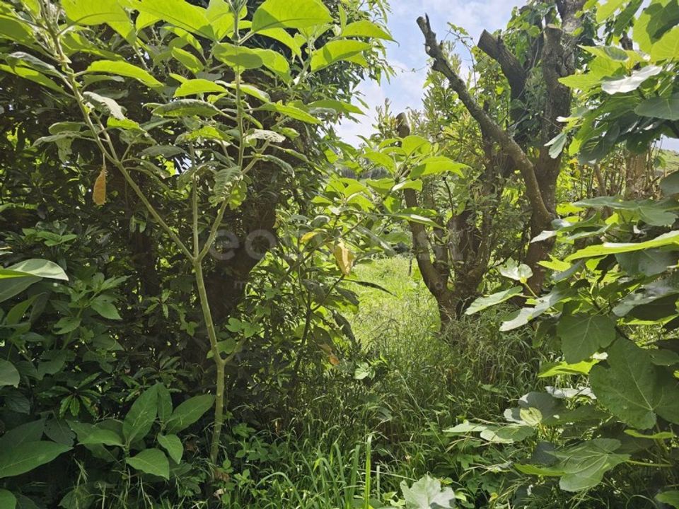 Terreno en Rabo de Peixe, Sao Miguel - foto 3