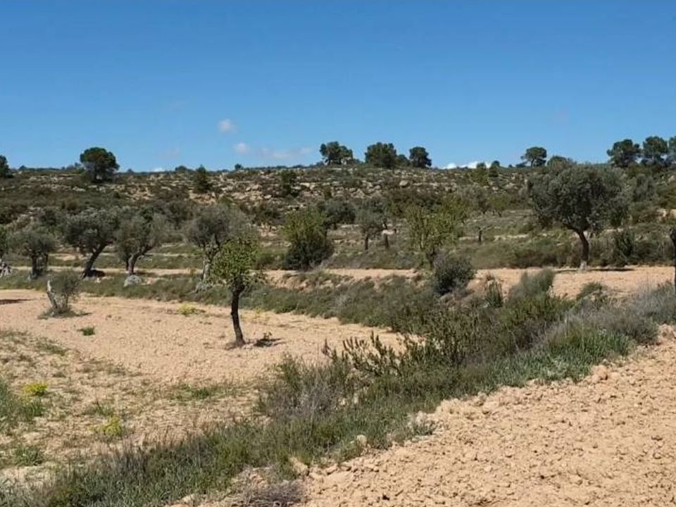 Helårsgrund i Fabara, Zaragoza - foto 4