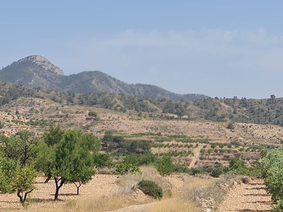 Tomt i Abanilla, Murcia - bilde 1