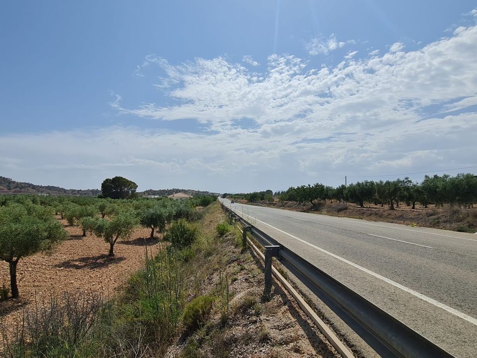 Tomt i Abanilla, Murcia - bilde 2