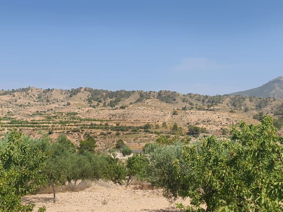 Helårsgrund i Abanilla, Murcia - foto 3