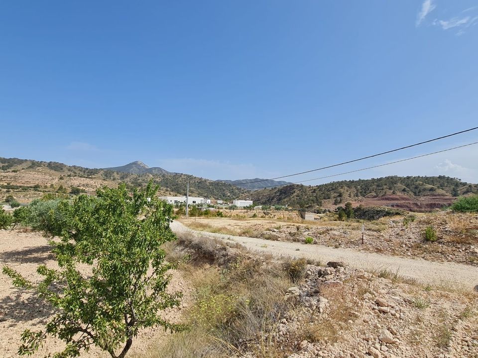 Helårsgrund i Abanilla, Murcia - foto 4