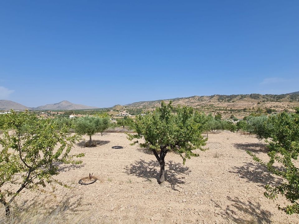 Helårsgrund i Abanilla, Murcia - foto 2