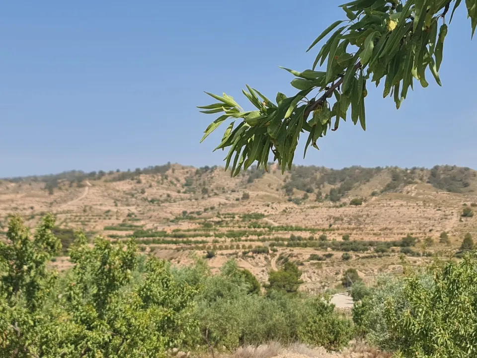 Helårsgrund i Abanilla, Murcia - foto 3