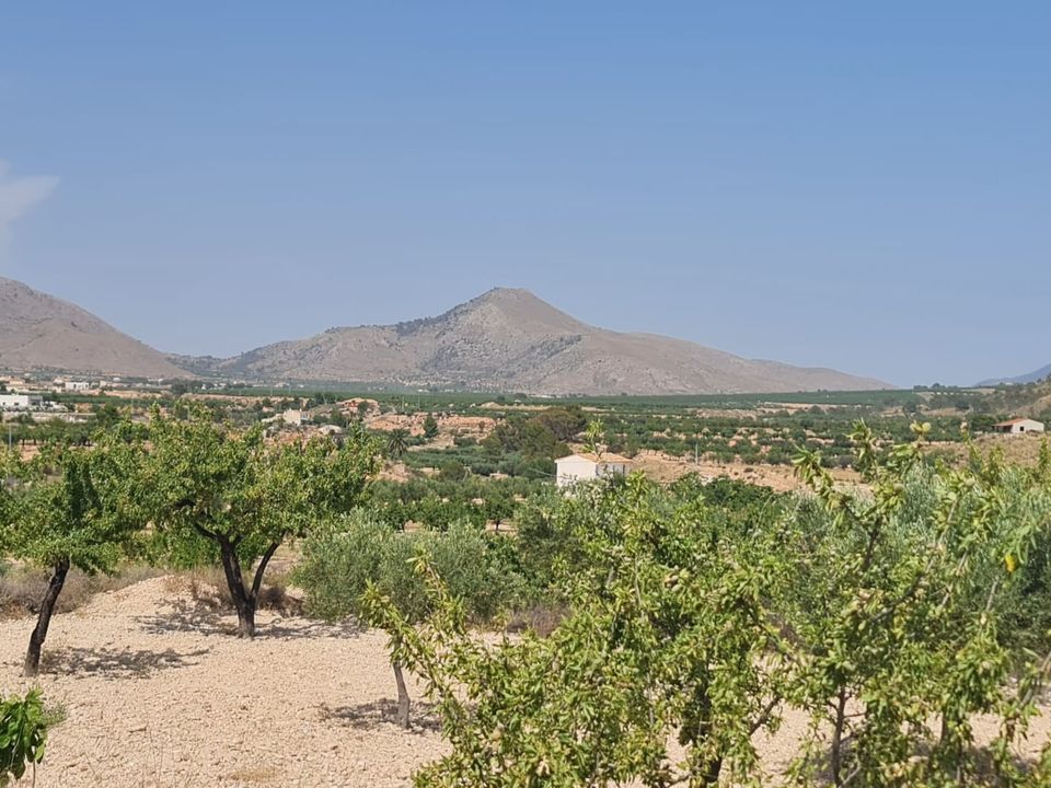 Helårsgrund i Abanilla, Murcia - foto 4