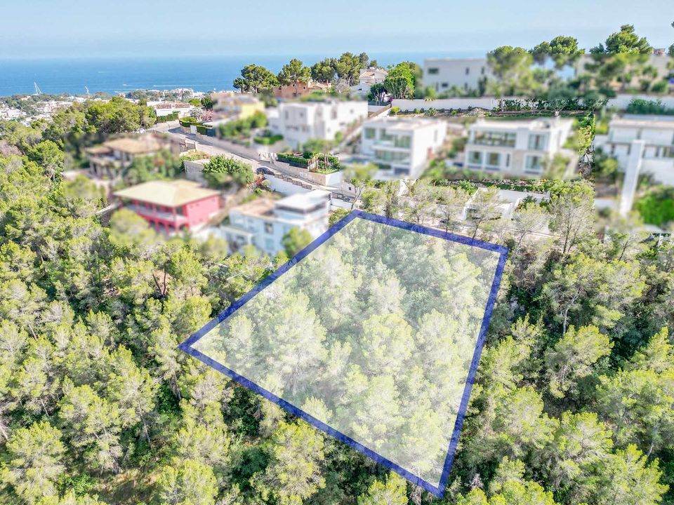 Villa i Costa D'en Blanes, Mallorca - foto 1