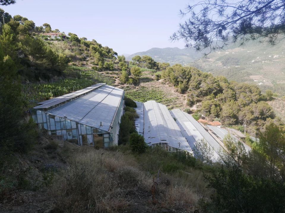 Masia a Soldano, Imperia - foto 1
