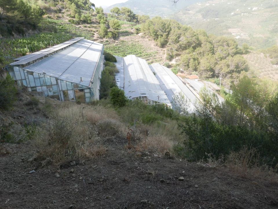 Masia a Soldano, Imperia - foto 2