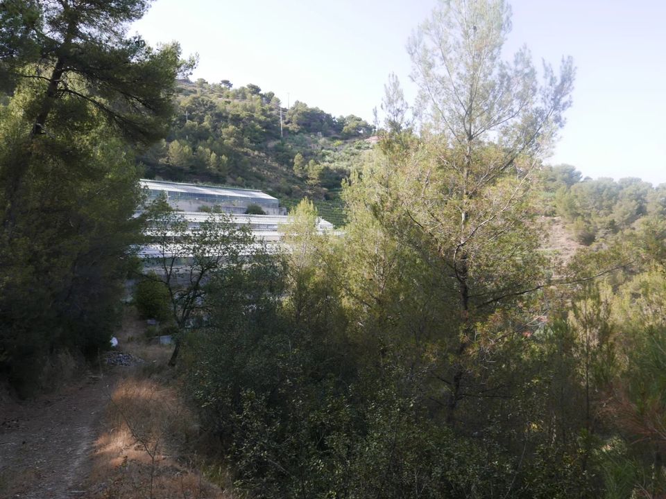 Masia a Soldano, Imperia - foto 3