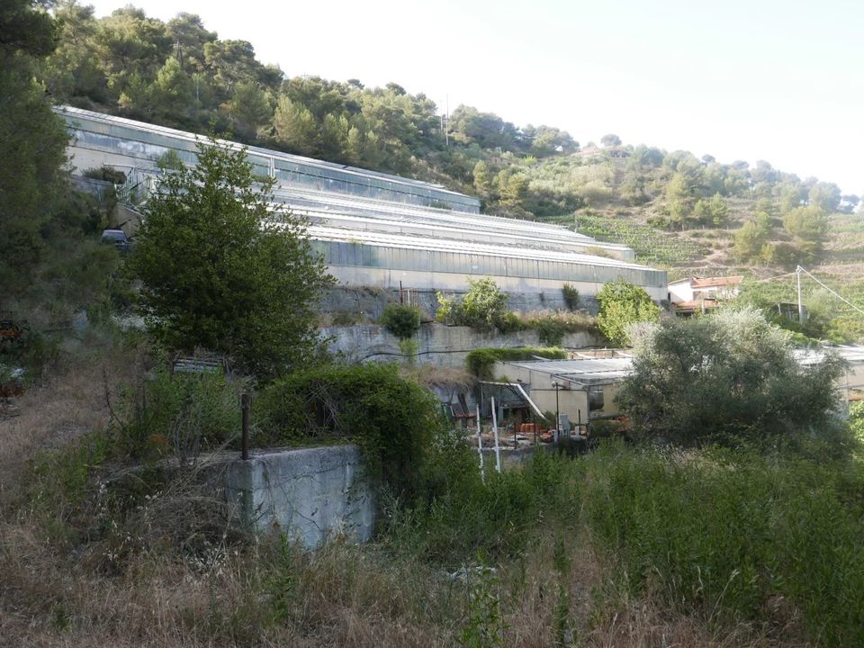 Masia a Soldano, Imperia - foto 5