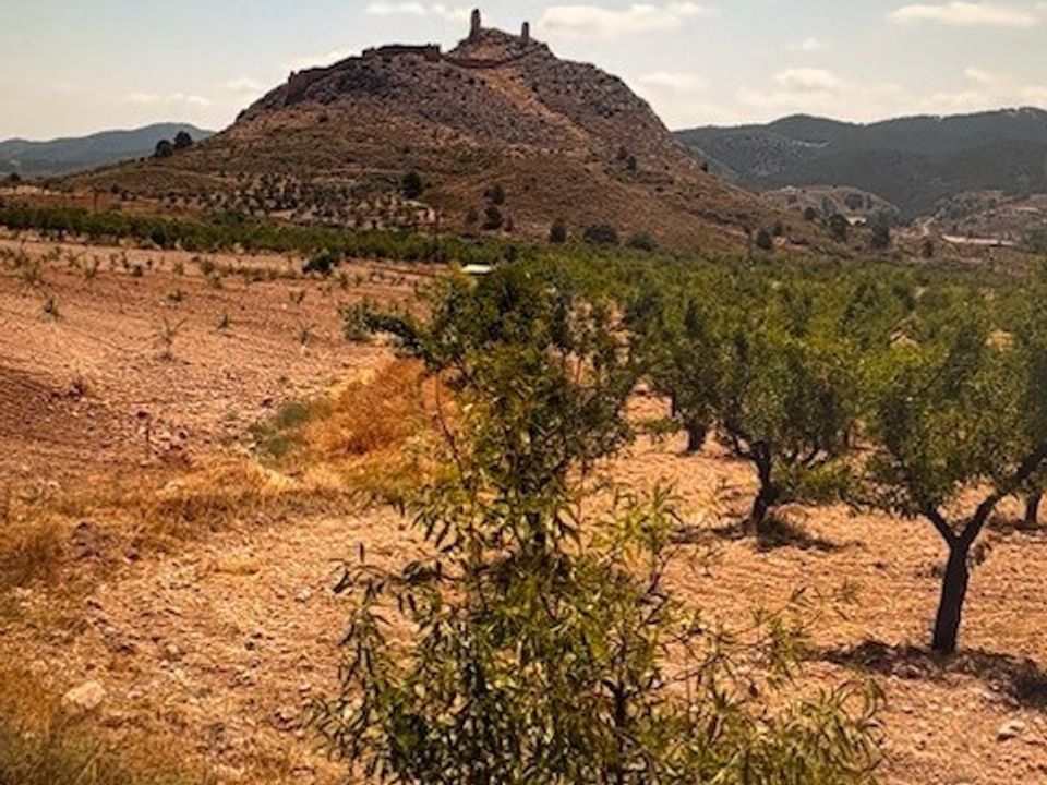 Terra a Lorca, Murcia - foto 4