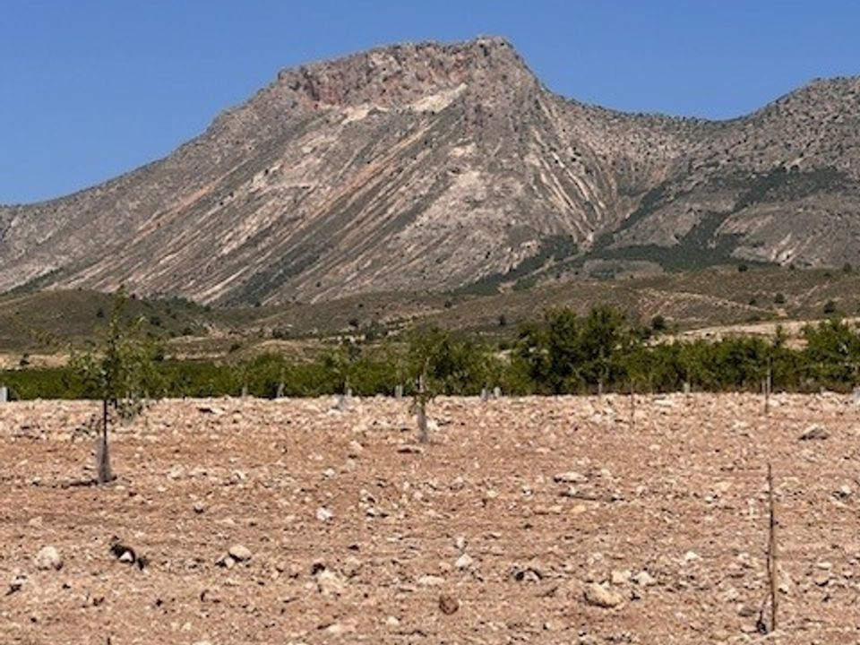 Terra a Lorca, Murcia - foto 5
