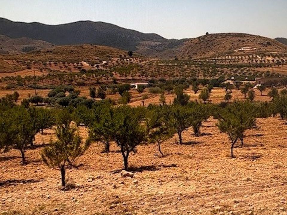 Terra a Lorca, Murcia - foto 3