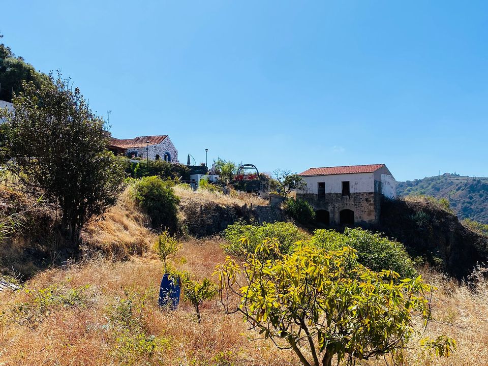 Herregård i Santa Brigida, Gran Canaria - bilde 1