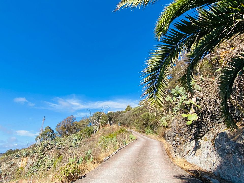 Herregård i Santa Brigida, Gran Canaria - bilde 4