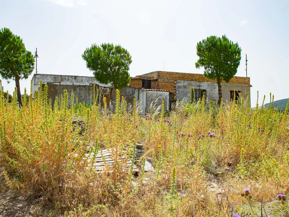 Finca i Medina Sidonia, Cadiz - foto 1