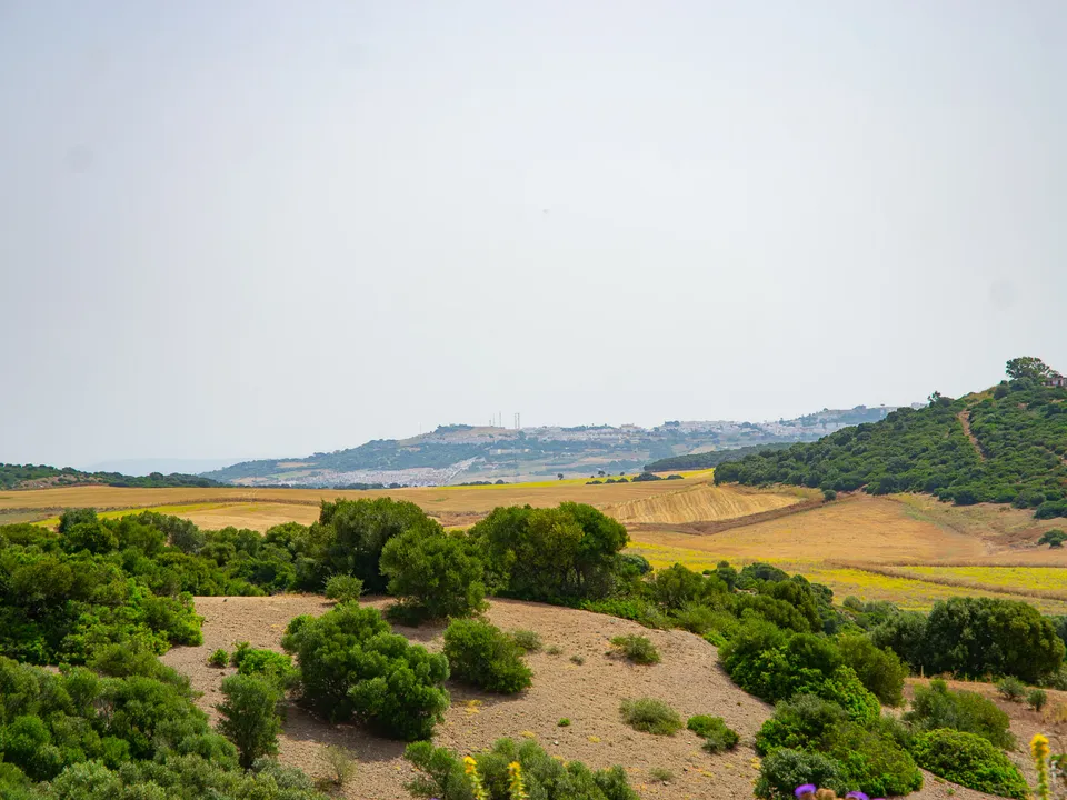 Finca i Medina Sidonia, Cadiz - foto 2