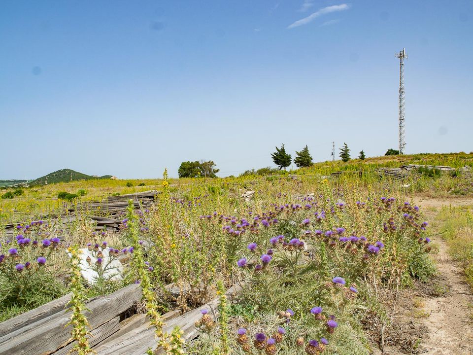 Finca i Medina Sidonia, Cadiz - foto 3