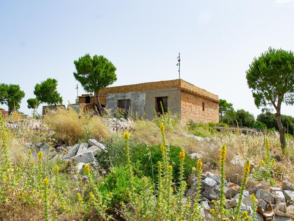 Finca i Medina Sidonia, Cadiz - foto 4