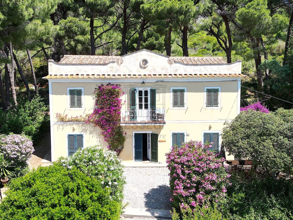Villa i Porto Azzurro, Livorno - foto 5