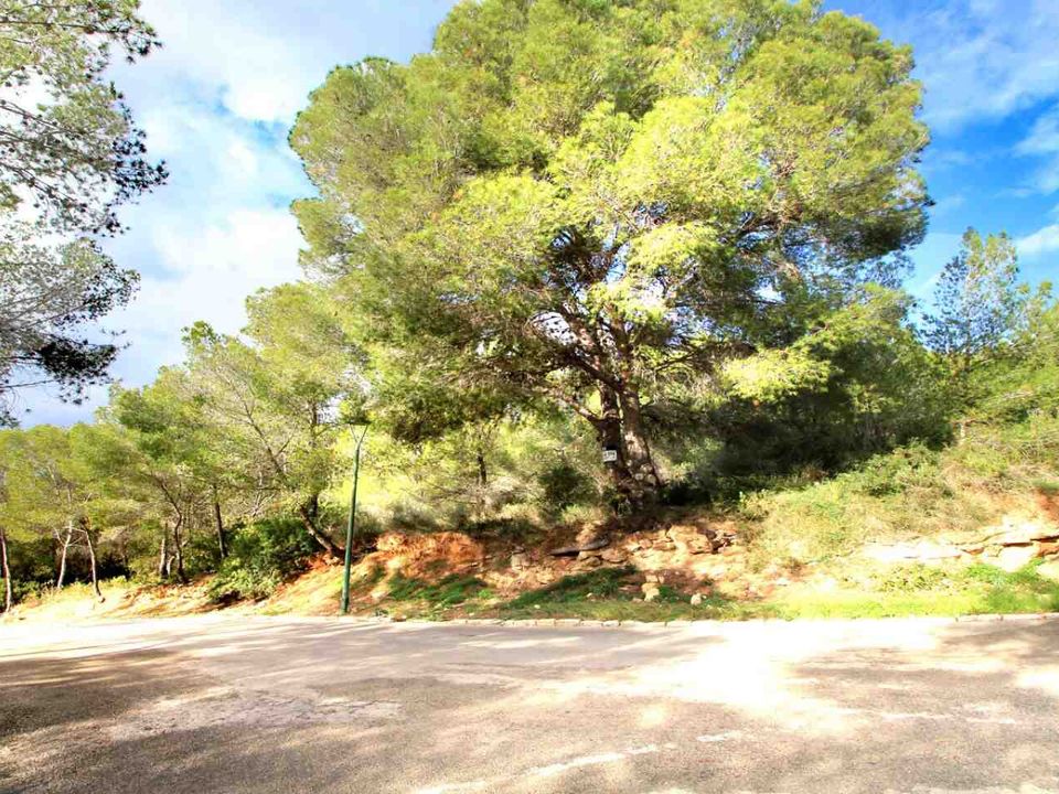 Helårsgrund i Cala Vinyes, Mallorca - foto 5