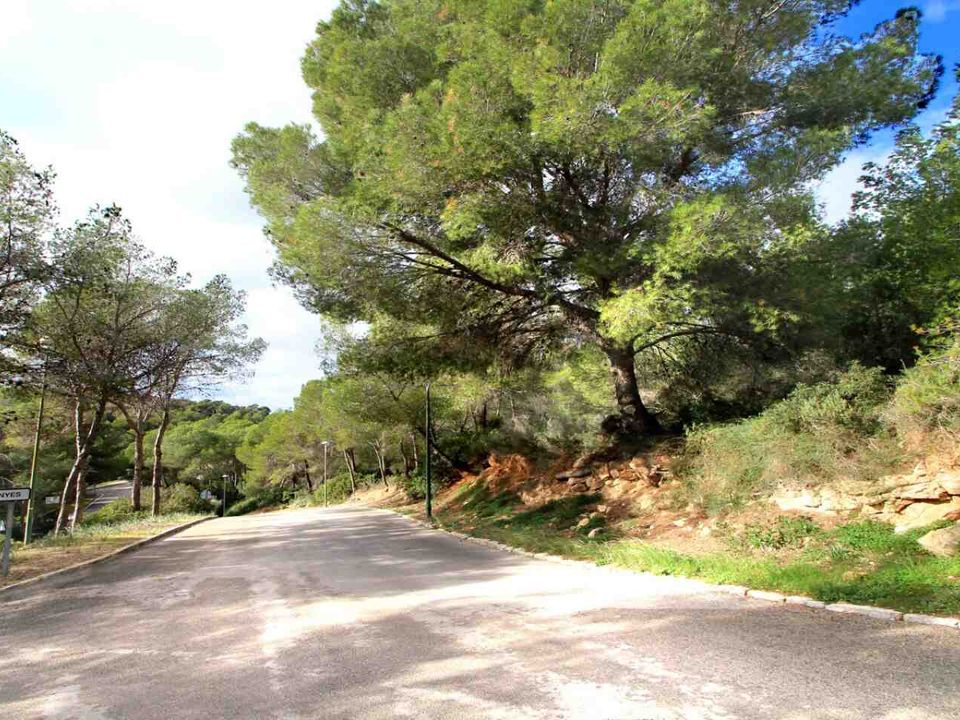 Helårsgrund i Cala Vinyes, Mallorca - foto 4