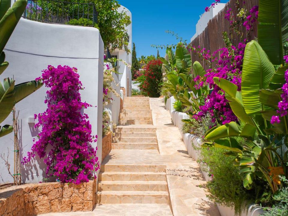 Villa i Cap Martinet, Ibiza - bilde 4