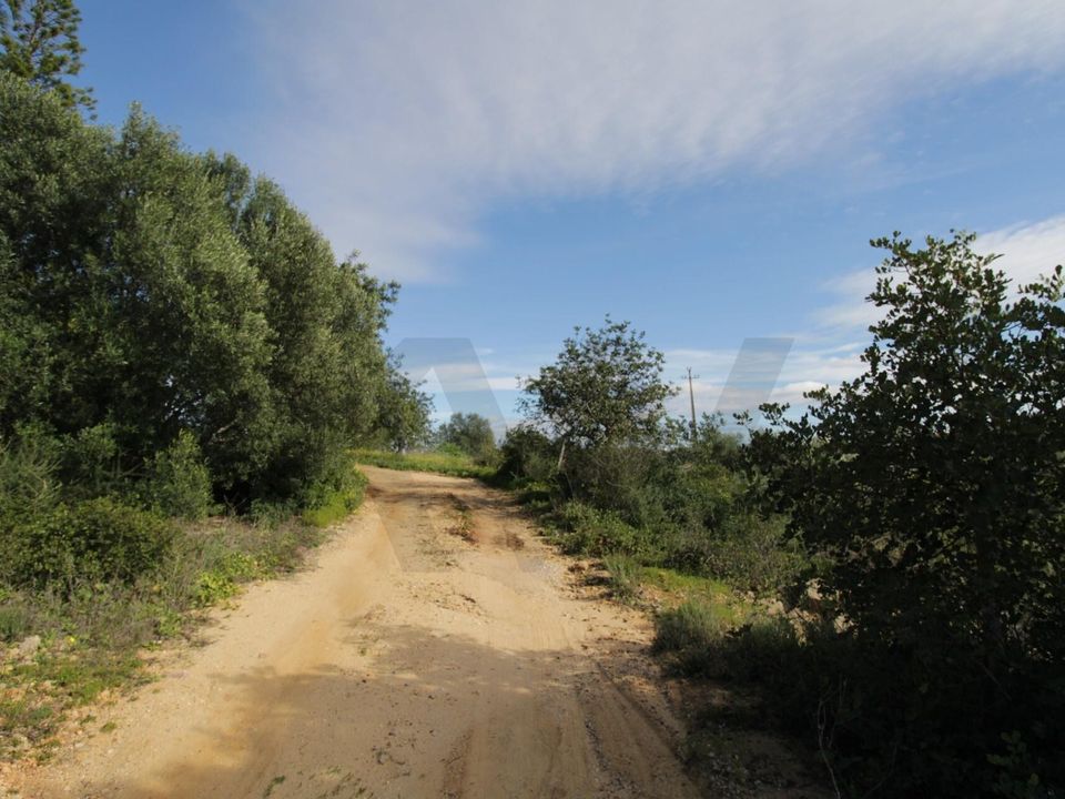 Erhvervsejendom i Conceicao e Estoi, Faro - foto 5